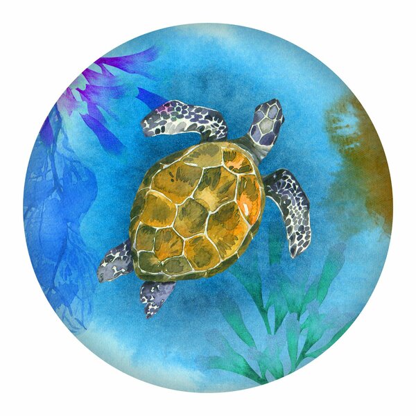 Next Innovations Water Color Turtle Round Wall Art 101410049-WATERTURTLE
